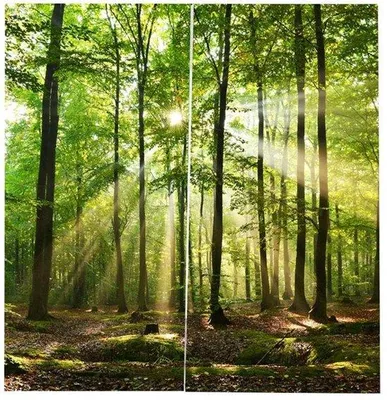 Obrázok produktu pre Záclony zatemňovacie, 170 x 200 cm, balenie, vhodné do obývačky a spálne