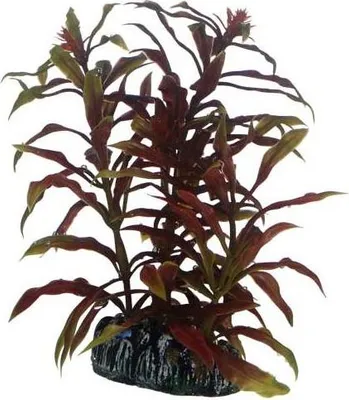 Immagine prodotto di Dohse HOBBY Nesaea | 13 cm