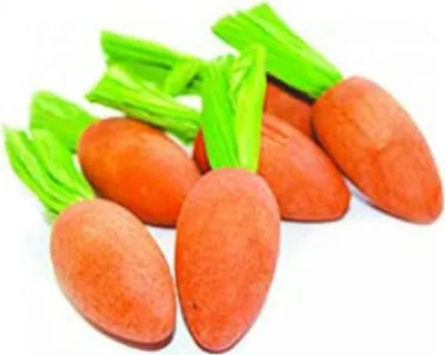 Produktbild von Critter's Choice Happy Pet Carrot Nibblers Knaaghout