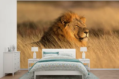 Produktbild von MuchoWow® Fototapete für Wohnzimmer oder Schlafzimmer Wandtapete Vinyl Motivtapete Wilde Tiere - Gras - Afrika - 420x280 cm - Zimmer für Kinder
