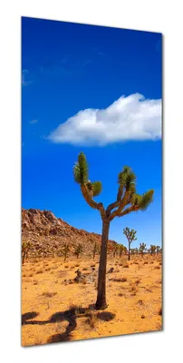 Produktbild von Wallario selbstklebende Duschrückwand 80 x 200 cm mit Motiv Palmlilie im Nationalpark Yucca Valley  Wüstenlandschaft - Wandverkleidung mit Hochglanzlaminat in Glasoptik