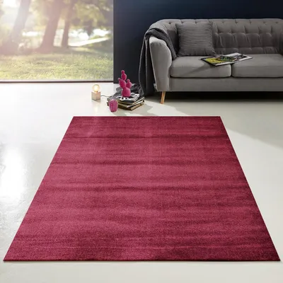 Image de Tapis Enjoy 800 Cherry 200 x 290 cm