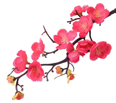 Produktbild von Künstliche Pflaumenblüten, künstliche Kirschblütenzweige mit langen Stielen, künstliche Blumen für Vasen, Blumenarrangements, Heimdekoration, Hochzeitstischdekoration