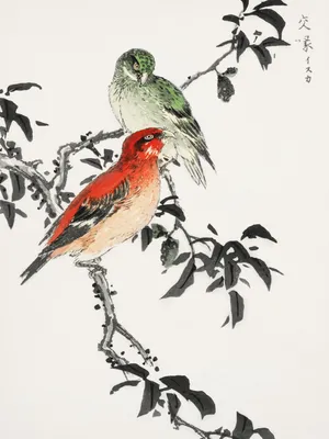 Zdjęcie produktu dla Plakat 30x40cm Crossbill, Kashu Japoński Vintage do Salonu