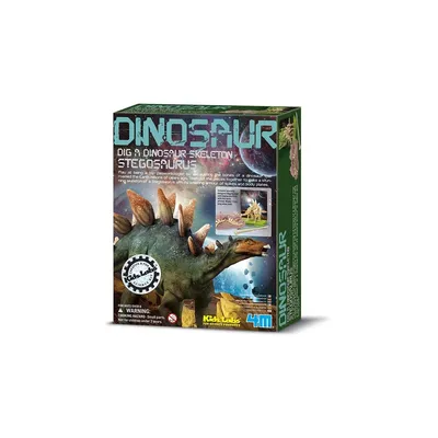 Produktbild von 4M Graaf Je Dino Op - Stegosaurus - EN Versie