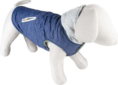Image de Manteau pour chien Duvo+ Urban bleu/gris, taille : XL