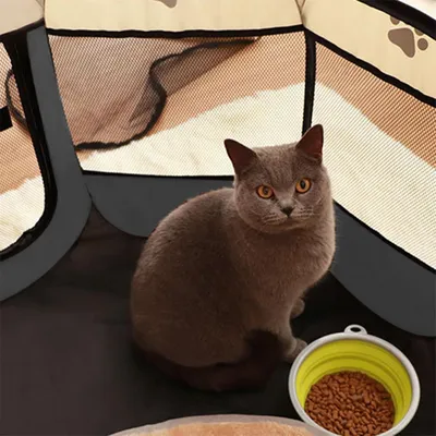 Obrázek produktu pro Skládací Puppyren - přenosný box na zvířata - 91x91x58 cm
