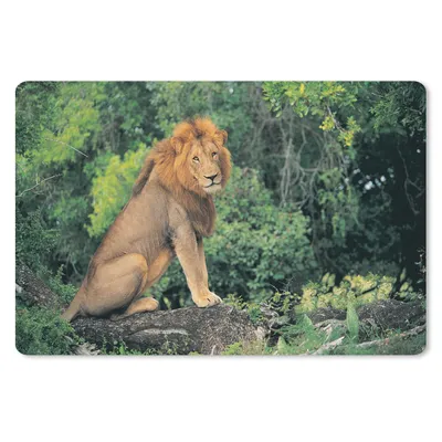 Produktbild von MuchoWow® Mauspad Mousepad Löwe - Natur - Gras 27x18 cm - Mousepads - Maus Mat - Pad - Mausunterlage - Büroartikel - Desk Matten