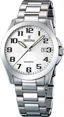 Image de Festina Montre Homme Classique F16376/7 Montre en acier inoxydable argenté UF16376/7
