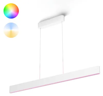 Productafbeelding van Philips 929003053301 Philips Hue Ensis pendant white 2x39W 24V