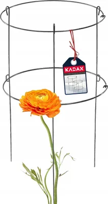 Obrázok produktu pre Podpora rastlín a opora pre popínavé rastliny – kovový krúžok pre ruže a kvety – sada 60 a 90 cm – záhradná opora