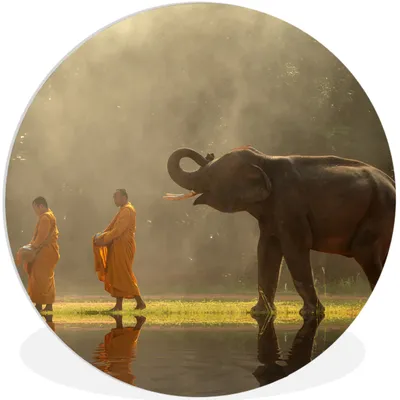 Produktbild von MuchoWow® Rundes Wandbild - Runde Bilder Elefant - Wasser - Tiere - Natur Ø 60 cm Kreis Wanddekoration Kunststoff - Wandkreis - Wandschmuck - Wand Kreis - Das Schlafzimmer - Die Bilder - Wandmalerei - Kunst für das Haus - das Plastik