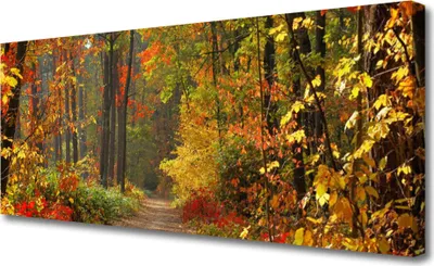 Produktbild von Tulup Leinwand-Bilder 125x50 Wandbild Canvas Kunstdruck Wald Natur