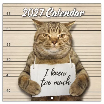 Produktbild von Wandkalender 2026, Januar 2026 bis Dezember 2026, lustiger Katzenkalender, 12-Mo