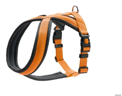 Produktbild von HUNTER Geschirr London Comfort S-M/2, orange