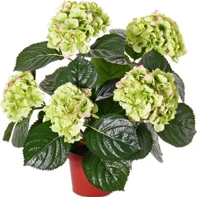 Produktbild von Topart Kunstpflanze mit Blumen - Hortensie - rosa - 36 cm