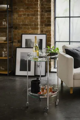 A stylish bar cart with drinks and a plant in a modern living room setting.