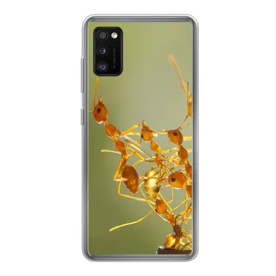 Produktbild von MuchoWow® Handyhülle Schutzhülle Hülle für Samsung Galaxy A41 Ameisen - Orange - Tiere Silikon Softcase Handy Hülle - Mobiltelefon