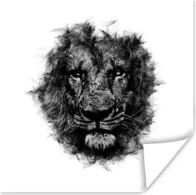 Produktbild von MuchoWow® Poster Löwe - Schwarz - Weiß 100x100 cm - Babyzimmer