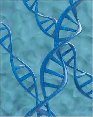 Produktbild von Wallario Poster - DNA-Strang in blau auf türkisem Hintergrund, Kunstdruck Größe: 40 x 50 cm