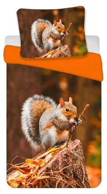 Freigestellte Produktansicht vom Bettwäsche Set mit Eichhörnchen 135x200 cm + 80x80 cm 100% Baumwolle