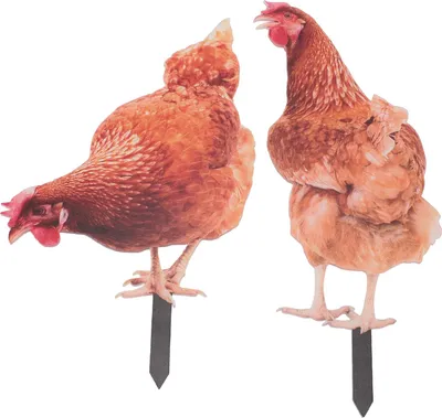 Produktbild von Garten-Hühnerpfahl, bunt, wetterbeständig, dekorative Tierfigur aus Acryl für den Rasen im Freien