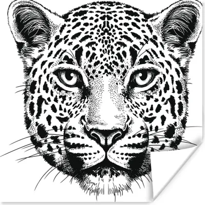 Produktbild von MuchoWow® Poster Panther - Schwarz - Weiß - Illustration 100x100 cm - Babyzimmer