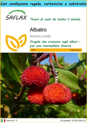 Immagine prodotto di SAFLAX Set regalo - Albatro - 50 semi - Arbutus