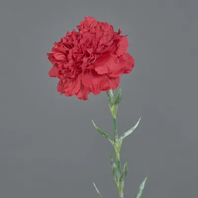 Produktbild von artplants.de Künstliche Nelke NIRUSHA, rot, 65cm - Kunst Nelken