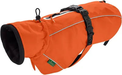 An orange dog coat is shown against a white background.