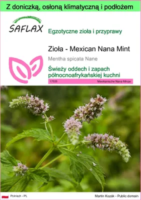 Zdjęcie produktu dla SAFLAX - Garden to go - Zioła - Mexican Nana Mint - 500 Nasiona - Z doniczką, pokrywą klimatyczną i podłożem do uprawy - Mentha spicata Nane
