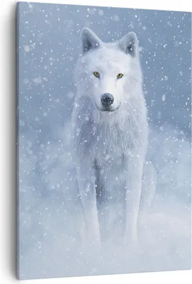 Produktbild von Bild auf Leinwand - Leinwandbild - Einteilig - Weiß Wolf Schnee - 50x70cm - Wand Bild - Wanddeko - Wandbilder - Leinwanddruck - Kunstdruck - Wanddekoration - Leinwand bilder - Wandbild - PA50x70-5006