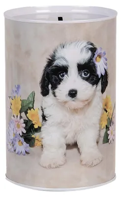Image de Clayre & Eef Tirelires Ø 10x15 cm Beige Métal Chien
