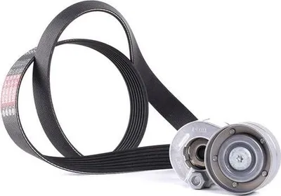 Produktbild von Gates K017PK1125 Keilrippenriemensatz für RENAULT MEGANE III Grandtour (KZ0/1) Scénic III (JZ0/1) GRAND SCÉNIC III (JZ0/1) Megane III Schrägheck
