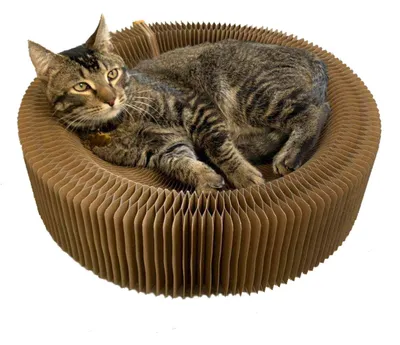 Image de Lit-griffoir pliable en forme ronde