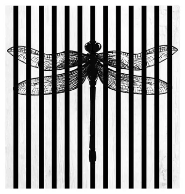Produktbild von Akustikpaneele mit Digitaldruck Libelle01 19 x 573 x 573 mm Libelle MDF PET-Fasern Wandpaneele Schwarz Weiß 1 Einzelplatte
