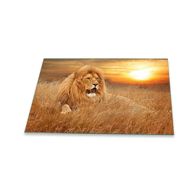 Produktbild von Herdabdeckplatte Glaskeramik 1 Teilig 80x52 Tiere Braun Abdeckung Glas Spritzschutz