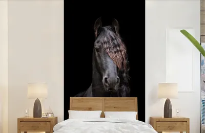 Produktbild von Tiermuster - Pferde Fototapete - Schwarz - Tier - Breite 120 cm x Höhe 240 cm