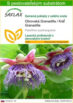 Obrázok produktu pre SAFLAX - Obrovská Granadilla / Kráľ Granadilla - Passiflora quadrangularis - 12 Semená - S pestovateľským substrátom bez klíčkov