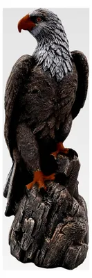 Produktbild von Adler Steinfigur, H. 50 cm, 14 kg, frostsicher aus Steinguss für den Außenbereich (Mehrfarbig)