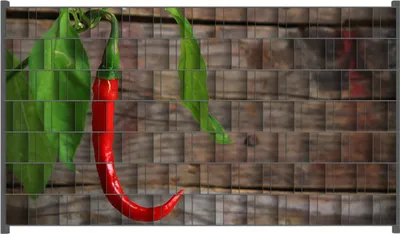 Produktbild von Wallario Zaunsichtschutz mit Motiv Hängende Chili-Schote für Ein- und Doppelstabmatten Zäune in der Größe 250 x 140 cm