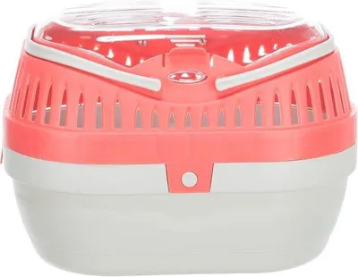 Image de Cage de transport pour petits animaux 30 x 21 x 23 cm, en plastique