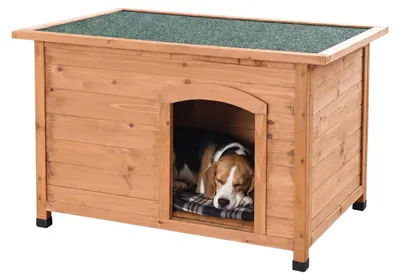 Produktbild von Relaxdays Hundehütte, Holz, HxBxT: 58,5 x 85 x 53 cm, wetterfestes, klappbares Dach, Outdoor Hundevilla, orange/grün