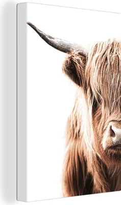 Produktbild von OneMillionCanvasses® - Leinwandbilder - 90x140 cm, Schottisches Hochlandrind - Tier - Stier, Wandbilder Kunstdruck Wanddekoration - Hochland Rind - Kuh - Gemälde auf Holzrahmen  - Wandschmucke - Schlafzimmer