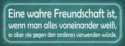 Produktbild von vianmo Holzschild 10x27 cm wahre Freundschaft ist wenn man Spruch Zitat