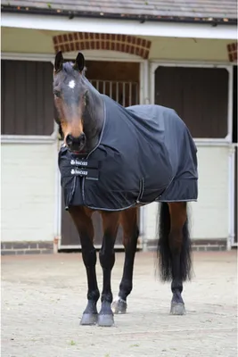 Produktbild von Bucas Shamrock Power Classic Cut Abschwitzdecke schwarz Silber 140