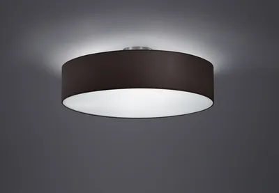 Zdjęcie produktu dla Lampa sufitowa HOTEL 603900302 Trio