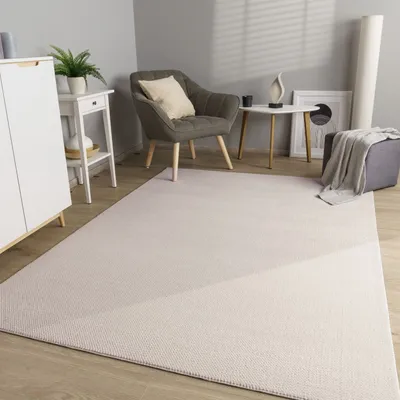 A living room scene with a rug, chair, and furniture.