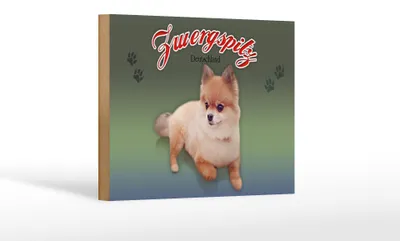 Produktbild von Holzschild Hund 18x12cm Zwergspitz Deutschland