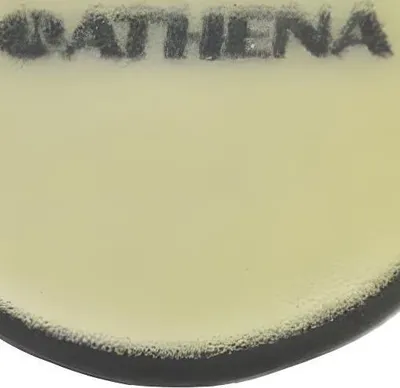Produktbild von Luftfilter Luftfiltereinsatz Athena für Suzuki Quadsport 50 02-10